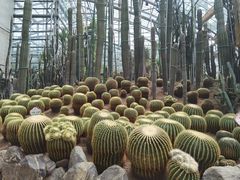 -南山植物园