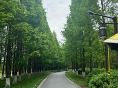 -苏州太湖国家湿地公园