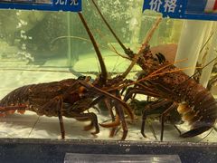 -太古汇海鲜姿造(延寿店)