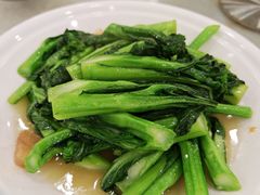 生炒迟菜心-姚林轩