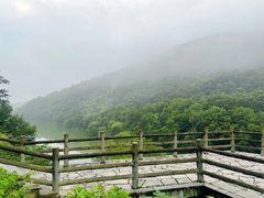 -南京老山国家森林公园