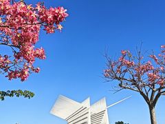 -风云岭森林公园