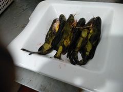 -大妙火锅·非物质文化遗产(东湖公园店)