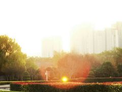 -洛阳市隋唐城遗址植物园