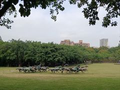 -广州雕塑公园