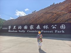 -茅兰沟国家森林公园