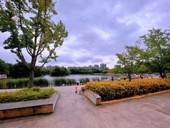 -新江湾城公园