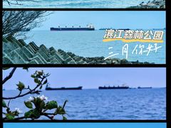 -上海滨江森林公园