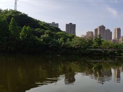 -重庆彩云湖湿地公园