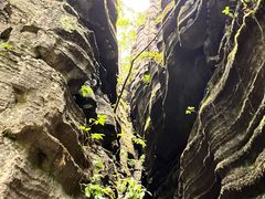 -梭布垭石林景区