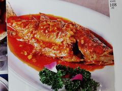 -绿野仙踪·印象(香樟名都店)