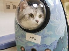 -芭比堂动物医院广州顽皮分院