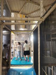 -奈尔宝·儿童乐园·亲子餐厅(苏州大悦城店)