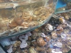 -渔中舟海鲜大排档(普陀沈家门店)