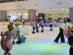 -TheRink大零溜冰场(IFS国金中心店)
