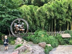 -杭州黄龙洞