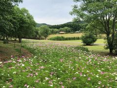 -钟山体育运动公园