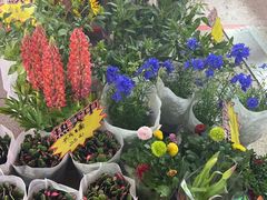 -沙洲路步行街(长安南路店)