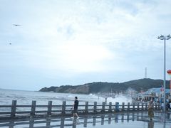 -大鹿岛
