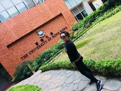 -香港大学