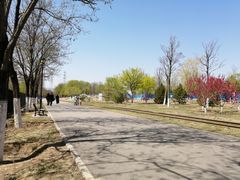 -永定河休闲森林公园