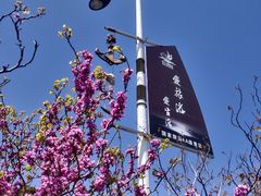 -金山嘴渔村