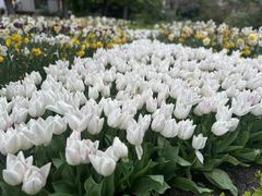 -南京金牛湖风景区