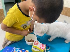 -美联众合动物医院·24h京西诊疗中心