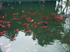 -常熟方塔园