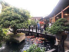 -猪肉婆私房菜(容桂总店)