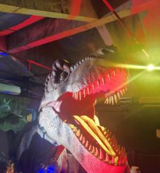 -恐龙探索乐园(磁器口店)