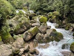 -青城山