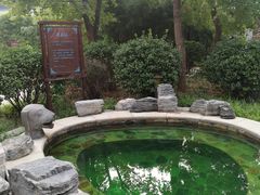 -中家鑫园温泉酒店鑫悦汤泉