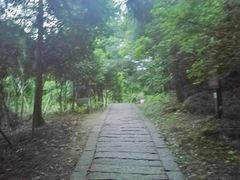 -玉苍山国家森林公园