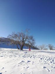 -大秃顶子山