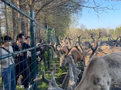 -溱湖国家湿地公园