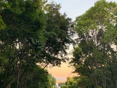 -深圳国际园林花卉博览园