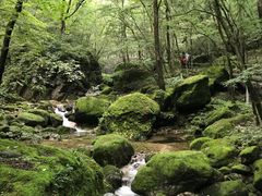-牛背梁国家森林公园