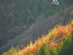 -十三陵水库