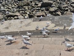-海合安青岛极地海洋公园