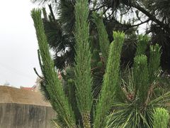 -阳光海岸露营公园