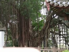 -乌山风景区