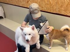 -和它·交个朋友·狗咖猫咖(爱琴海店)