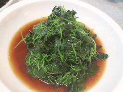 -农家大院(纪王店)