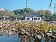 -范蠡湖公园