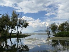 -洱海月湿地公园