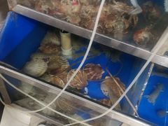 -宾朋海鲜特色美食餐厅·纯手工鲅鱼水饺(兴海路店)