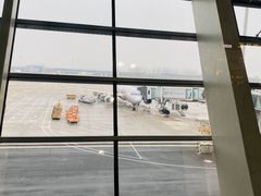 -合肥新桥国际机场-航站楼