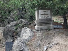 -白水寺森林公园