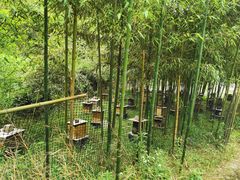 -会稽山峡洞漂流-上青古道